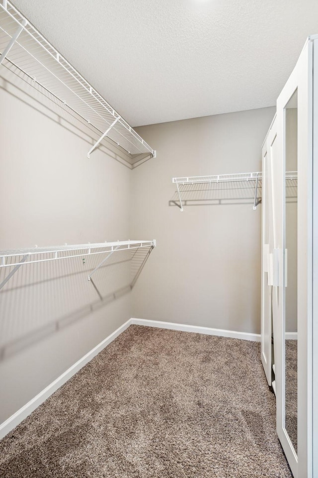 walk in closet featuring carpet floors