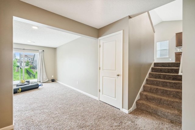 interior space with carpet