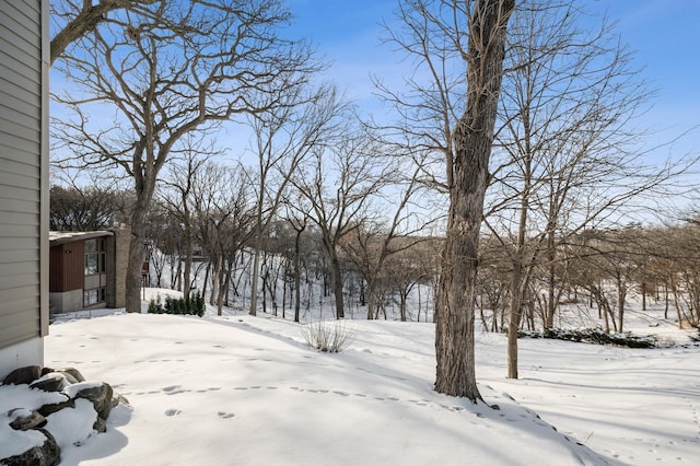 view of yard layered in snow