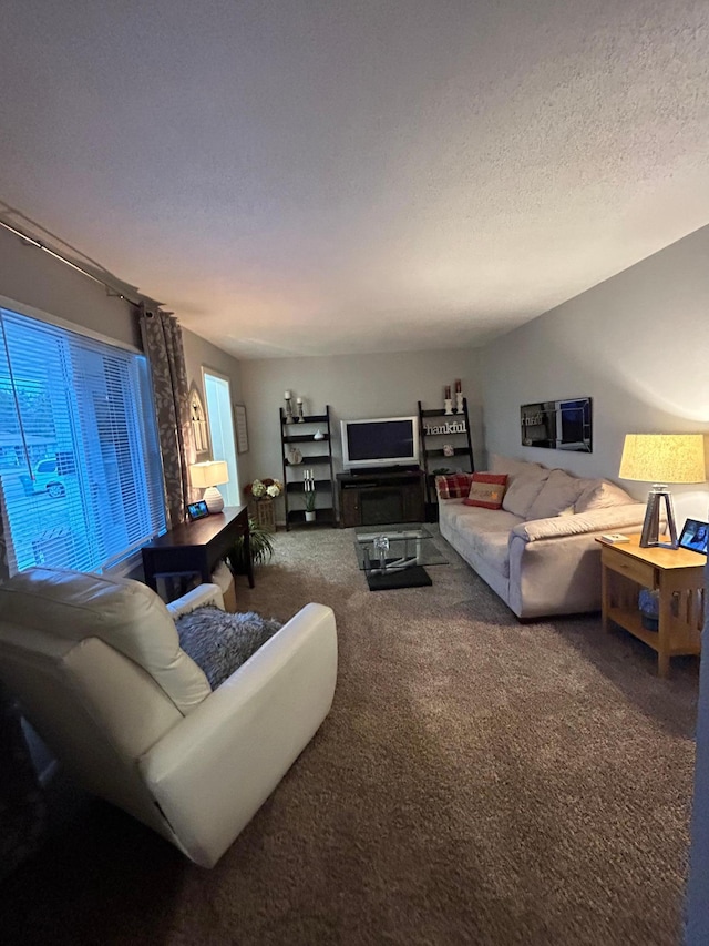 carpeted living area with a textured ceiling