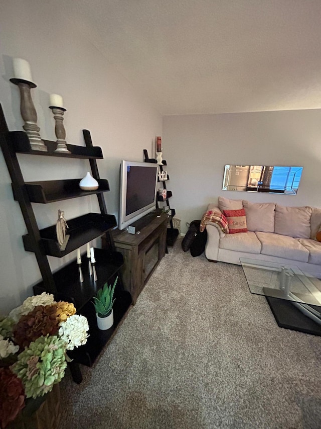 4812-4814 Idaho Ave N, Crystal, MN 55428 - living room with carpet flooring