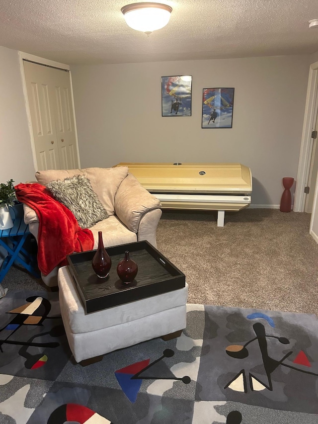 4812-4814 Idaho Ave N, Crystal, MN 55428 - carpeted living area featuring a textured ceiling