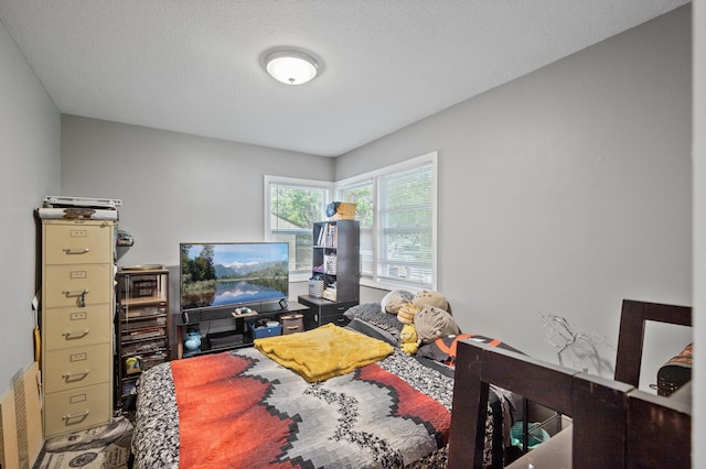 4812-4814 Idaho Ave N, Crystal, MN 55428 - bedroom with a textured ceiling