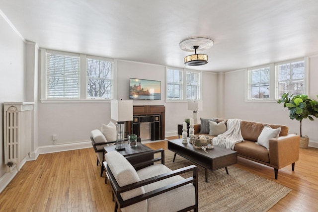 living room with radiator heating unit and light hardwood / wood-style flooring