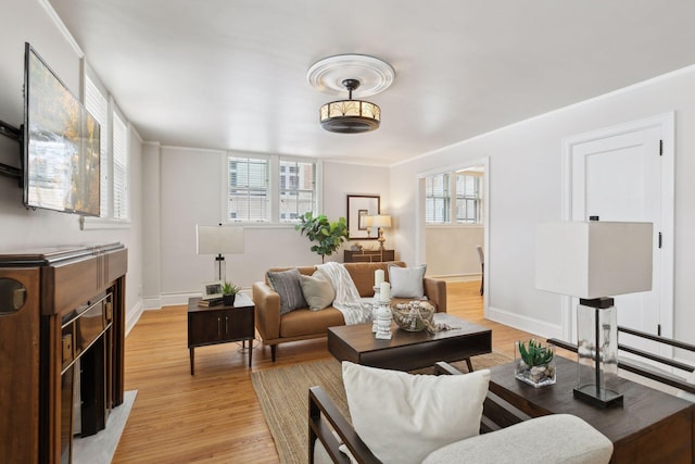 living room featuring ornamental molding and light wood-type flooring