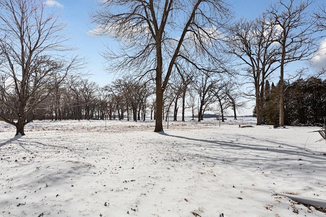 view of yard layered in snow