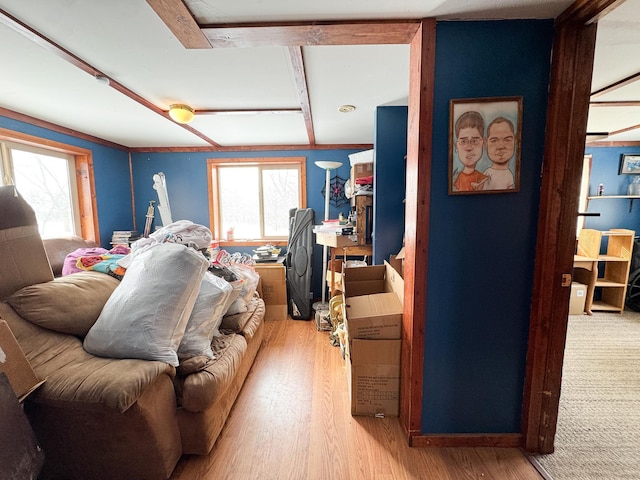 living room featuring wood-type flooring