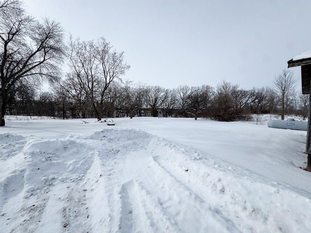 view of yard layered in snow