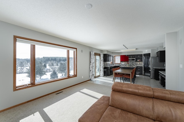 5078 Nicklaus Dr NW, Rochester, MN 55901 - living area with plenty of natural light and a textured ceiling