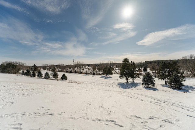 5078 Nicklaus Dr NW, Rochester, MN 55901 - view of yard covered in snow