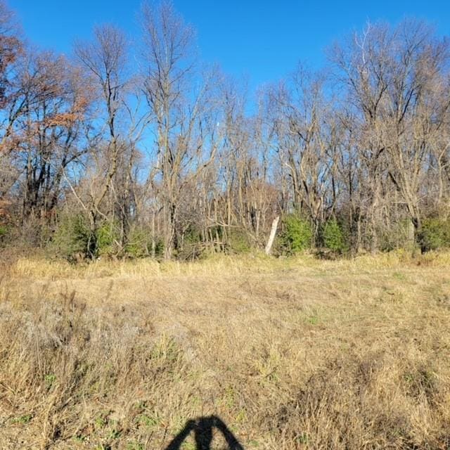 LOT4 575th, Greenleaf Twp MN, 55355 land for sale