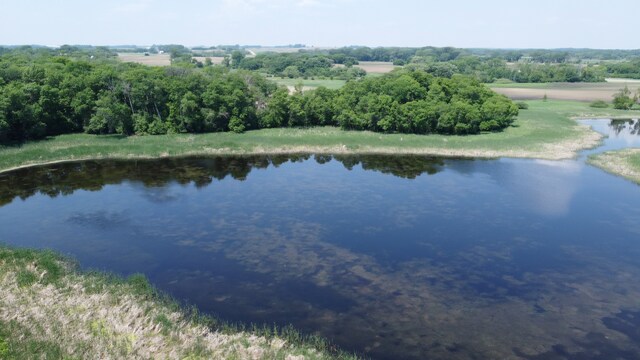 LOT4 575th, Greenleaf Twp, MN 55355