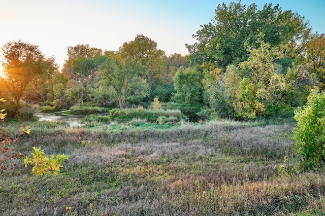 LOT6 575th, Greenleaf Twp, MN 55355