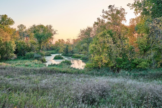LOT6 575th, Greenleaf Twp, MN 55355