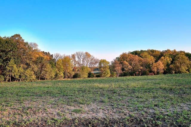 LOT6 575th, Greenleaf Twp, MN 55355