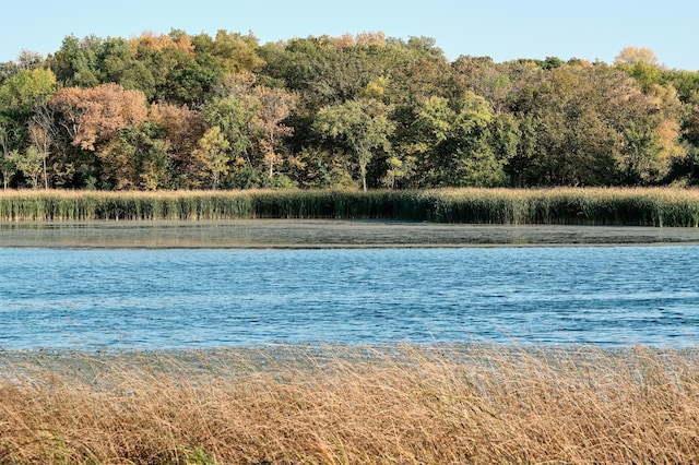 LOT6 575th, Greenleaf Twp, MN 55355