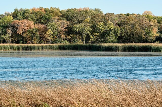 LOT6 575th, Greenleaf Twp, MN 55355