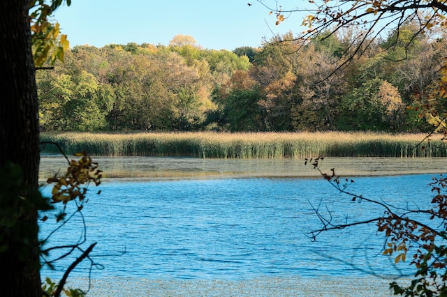 LOT6 575th, Greenleaf Twp, MN 55355