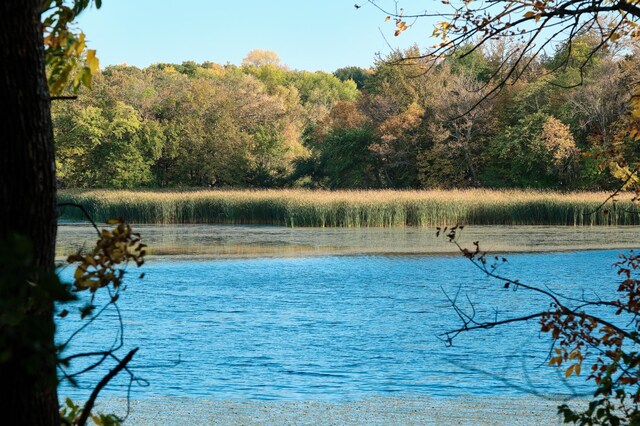 LOT6 575th, Greenleaf Twp, MN 55355