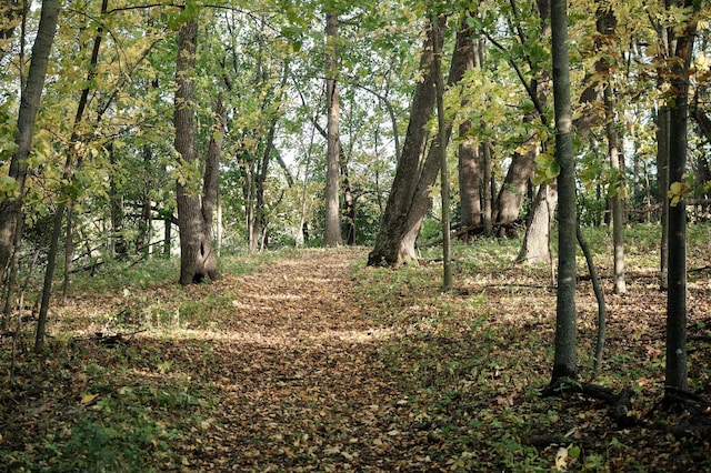 LOT6 575th, Greenleaf Twp, MN 55355