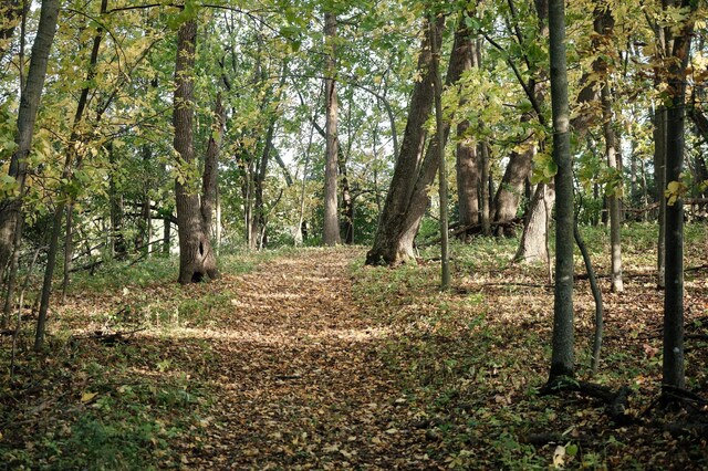 LOT6 575th, Greenleaf Twp, MN 55355