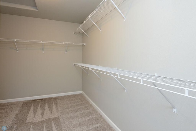 walk in closet featuring carpet floors