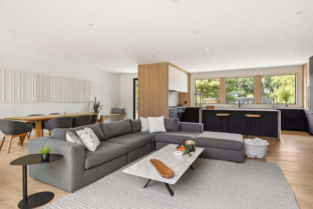 living room with light wood-type flooring