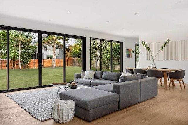 living room with light hardwood / wood-style floors