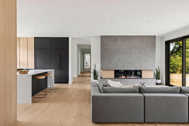 living room featuring a multi sided fireplace and light hardwood / wood-style flooring