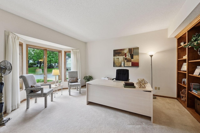 11824 Welters Way, Eden Prairie, MN 55347 - home office with light carpet, a textured ceiling, and baseboards