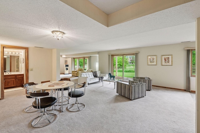 11824 Welters Way, Eden Prairie, MN 55347 - living room featuring carpet floors and a textured ceiling