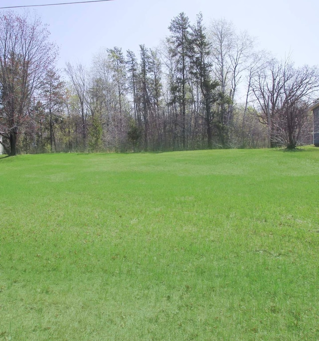 14320 Buley Ave, Oak Lawn Twp, MN 56401
