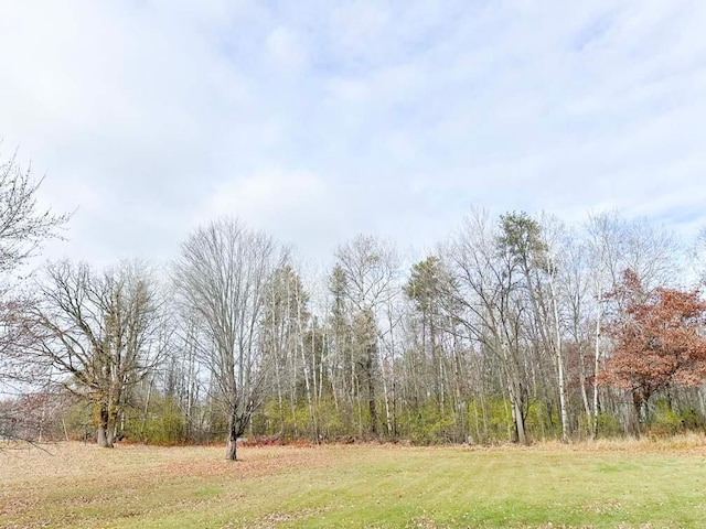 14320 Buley Ave, Oak Lawn Twp, MN 56401