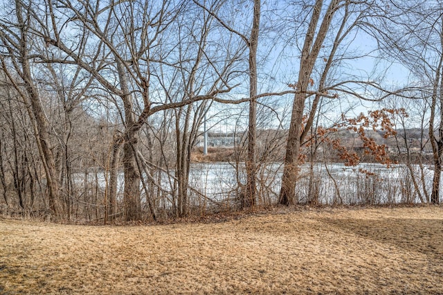view of water feature
