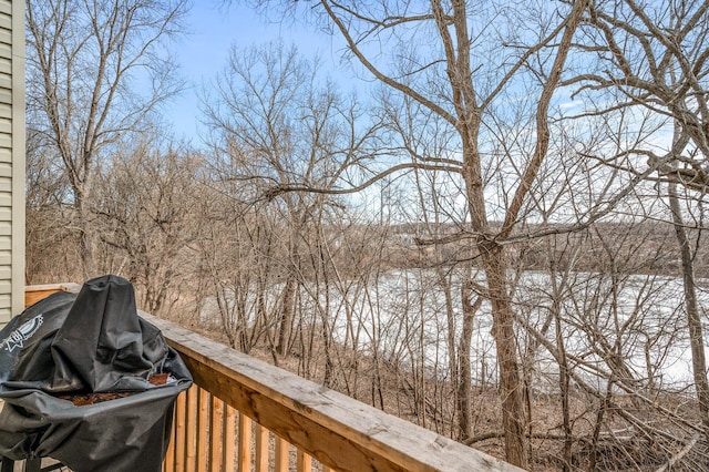1426 Mcandrews Rd E Unit 30, Burnsville, MN 55337 - view of wooden deck