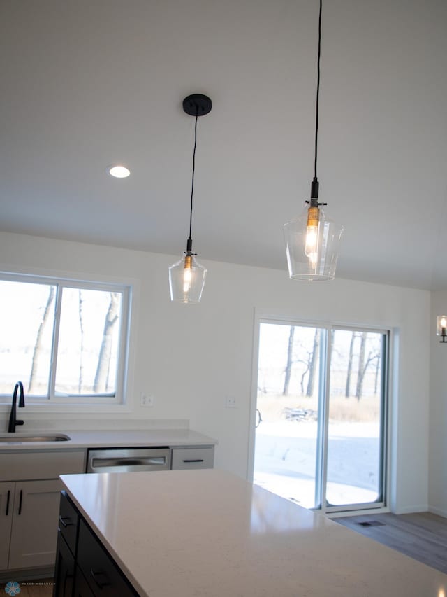 kitchen featuring sink, dishwasher, wood-type flooring, and pendant lighting