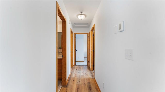 hallway with light wood finished floors