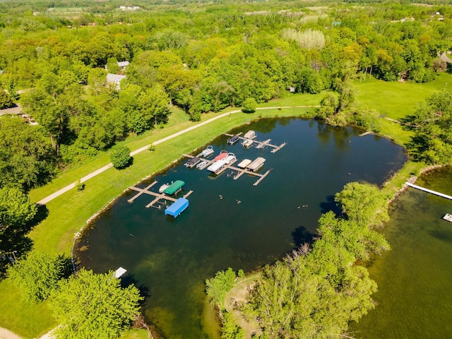 birds eye view of property with a water view and a forest view