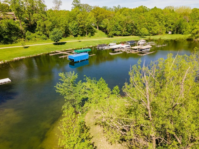 property view of water with a boat dock and a forest view