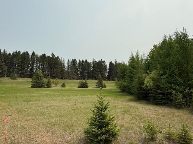 TBD Town Hall Rd, Bemidji, MN 56601