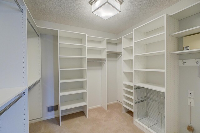 880 Norell Ave N, West Lakeland Twp, MN 55082 - spacious closet featuring light colored carpet