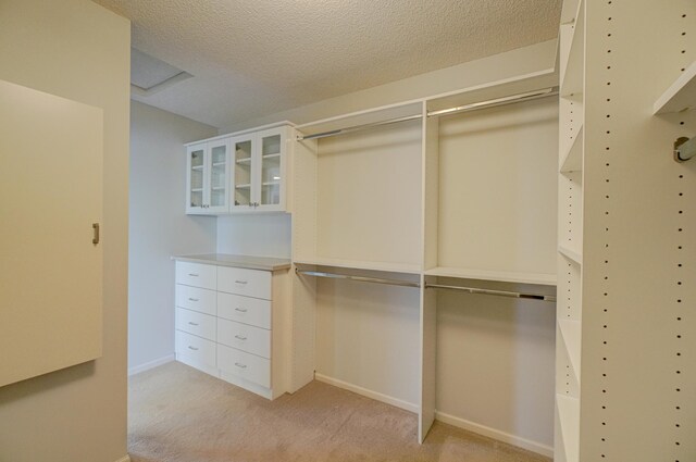 880 Norell Ave N, West Lakeland Twp, MN 55082 - spacious closet with light carpet