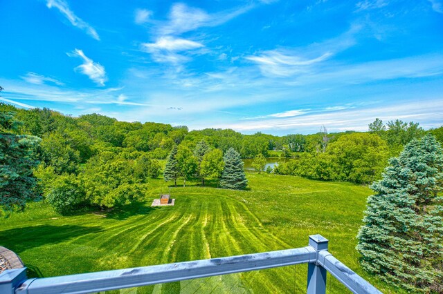 880 Norell Ave N, West Lakeland Twp, MN 55082 - view of yard with a water view
