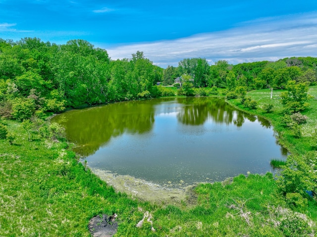 880 Norell Ave N, West Lakeland Twp, MN 55082 - water view with a forest