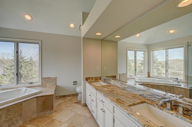 880 Norell Ave N, West Lakeland Twp, MN 55082 - full bath featuring healthy amount of natural light, toilet, a bath, double vanity, and recessed lighting