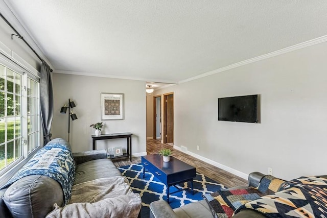 4345 Upper 145th St W, Rosemount, MN 55068 - living room featuring ornamental molding, wood finished floors, and a textured ceiling