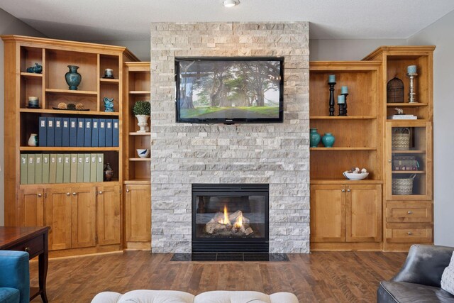 living room featuring a stone fireplace and wood finished floors