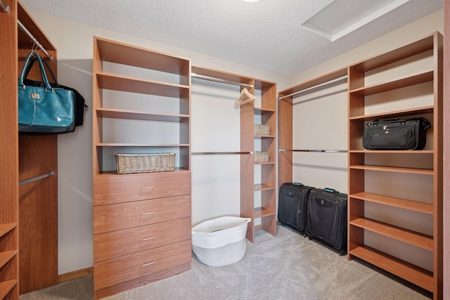 spacious closet featuring carpet floors