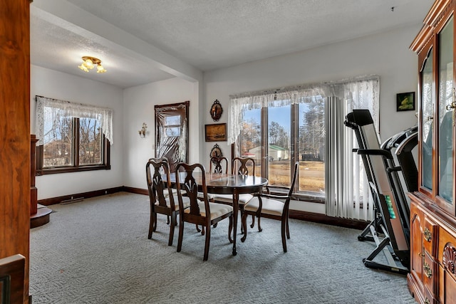 carpeted dining room with baseboards and a textured ceiling