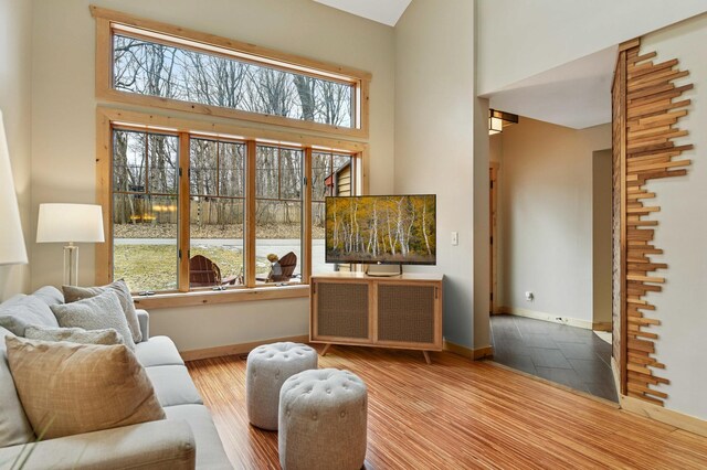living area with baseboards, a high ceiling, and wood finished floors